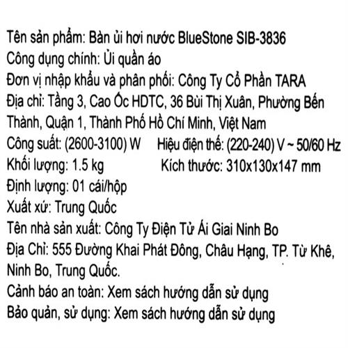Bàn ủi hơi nước BlueStone SIB-3836 3100W 11