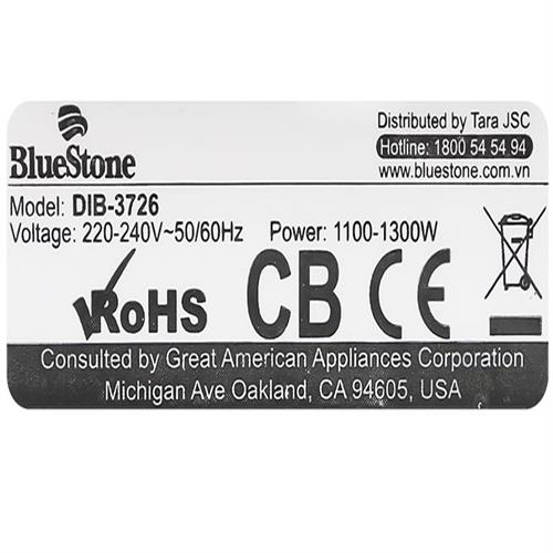 Bàn ủi khô BlueStone DIB-3726 1300W 10