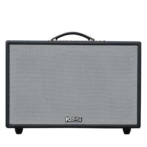 Loa Acnos CS3600, Bass 25cm, công suất 200W, Bluetooth 5.0, Aux, Optical, Kèm 2 Tay Mic 0