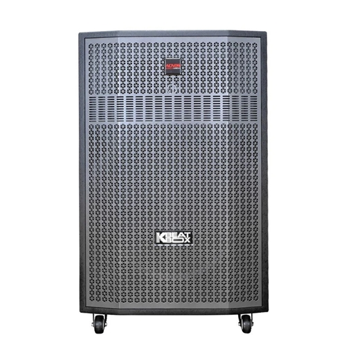 Loa Kéo Acnos CB56GD ( Bass 50cm, 200W/800W, Bluetooth 5.0, Kèm 2 Micro) 0