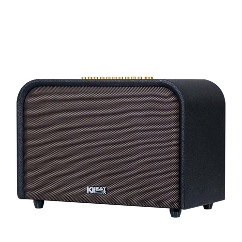 Loa kéo Di Động ACNOS ACOUSTIC 3 1