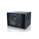 Loa Subwoofer CAVS DS115 Active 3