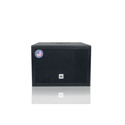 Loa Subwoofer CAVS DS115 Active