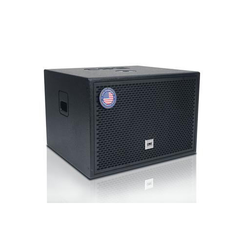 Loa Subwoofer CAVS DS115 Active 2