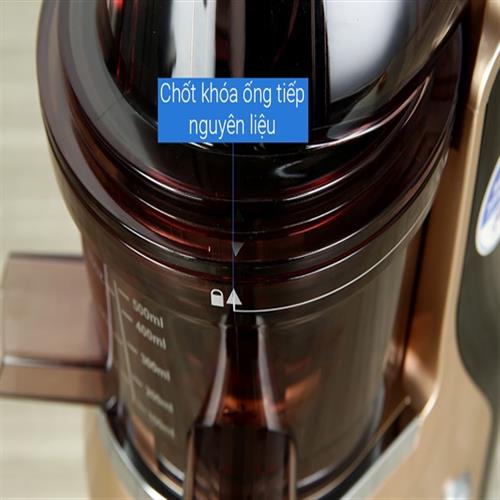 Máy ép chậm BlueStone SJB-6568 6
