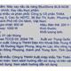 Máy làm sữa hạt đa năng BlueStone BLB-6036 11