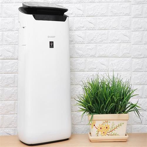 Máy lọc không khí Sharp FP-J60E-W 38W 1