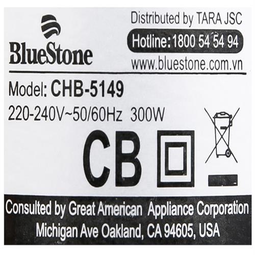 Máy xay thịt đa năng BlueStone CHB-5149 300W 2 lít 10