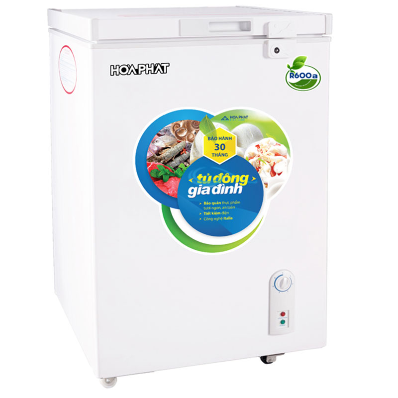 Tủ đông Hòa Phát HCF-106S1Đ - Hàng chính hãng 1