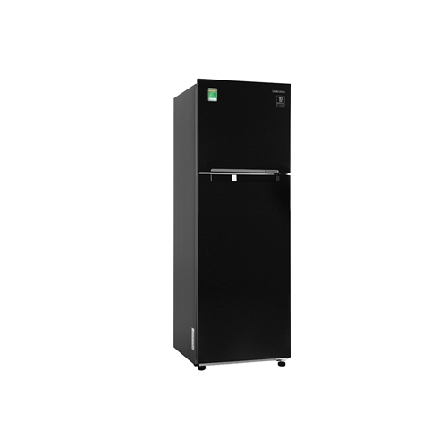 Tủ lạnh Samsung Inverter 256 lít RT25M4032BU/SV 2