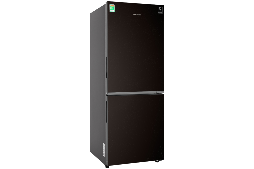 Tủ lạnh Samsung Inverter 280 lít RB27N4010BY/SV Mới 2020 1