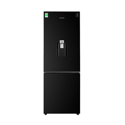 Tủ lạnh Samsung Inverter 307 lít RB30N4170BU/SV